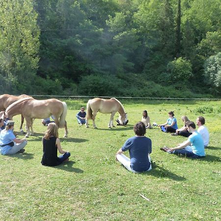La Casella Antico Feudo Di Campagna Ficulle Ngoại thất bức ảnh