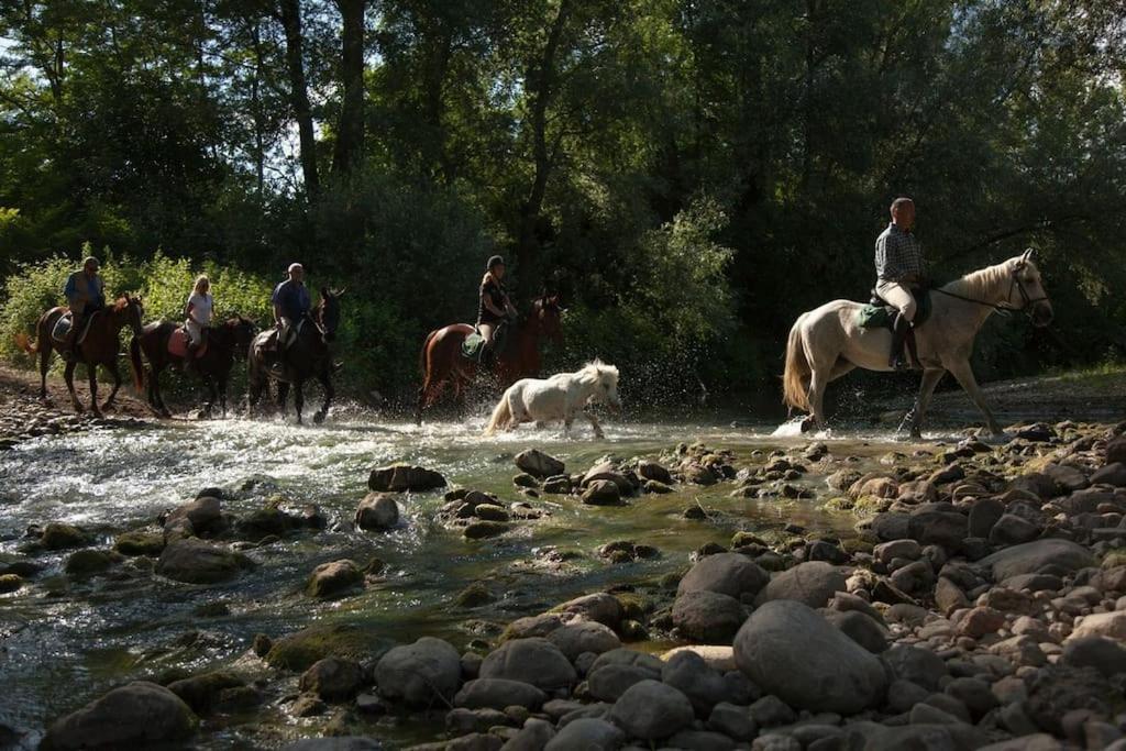 La Casella Antico Feudo Di Campagna Ficulle Ngoại thất bức ảnh
