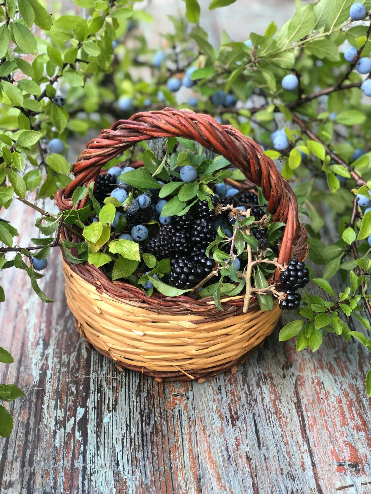La Casella Antico Feudo Di Campagna Ficulle Ngoại thất bức ảnh