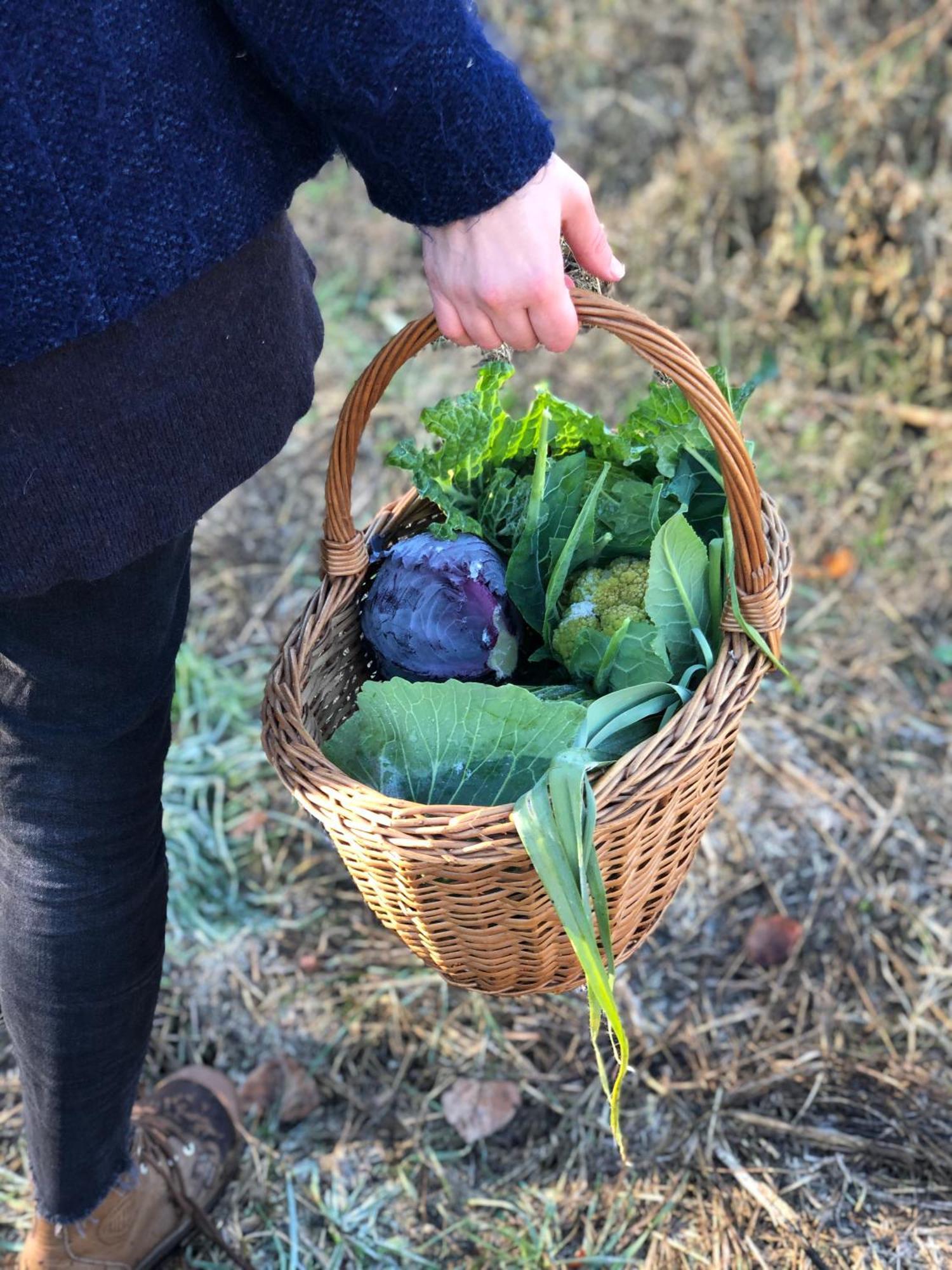 La Casella Antico Feudo Di Campagna Ficulle Ngoại thất bức ảnh
