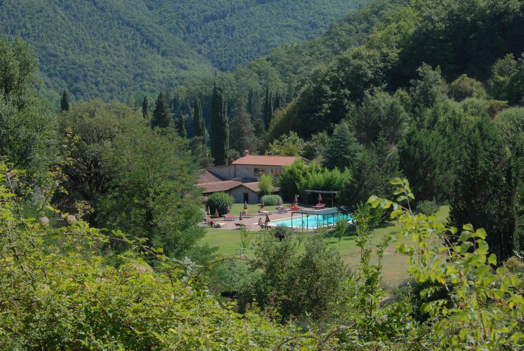 La Casella Antico Feudo Di Campagna Ficulle Ngoại thất bức ảnh